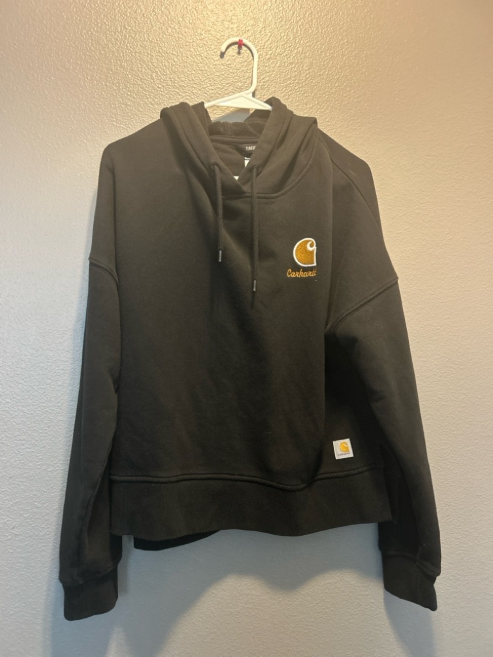 Carhartt Women's Tencel Fiber Series Loose Fit Graphic Hoodie Black Size S (4-6)